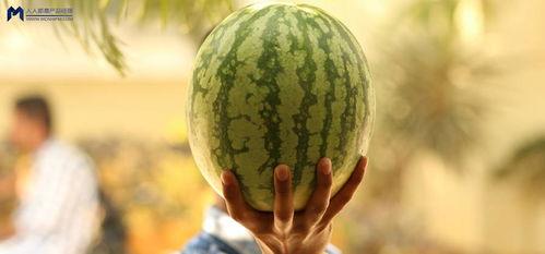 大娱乐吃瓜,大娱乐吃瓜，揭秘明星幕后故事