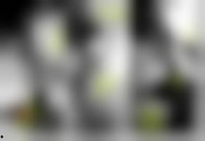 亚洲欧美国产免费综合视频